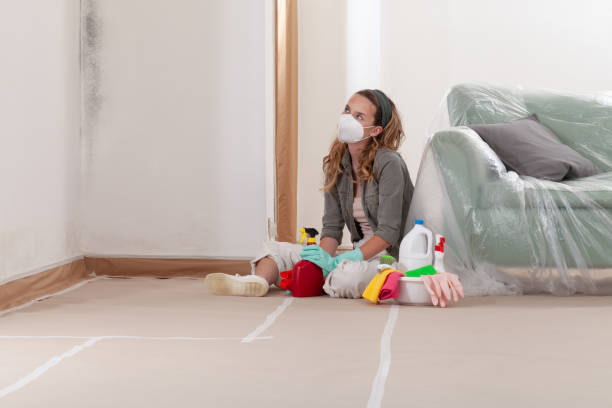 Reliable Attic Mold Removal contractor in North Richland Hills, TX by WQB Mold Removal